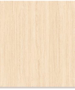 Gạch lát nền 60×60 Catalan 6071 New