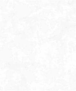 Gạch lát nền 60×60 TTC Ceramic CB66005