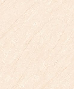 Gạch lát nền 60×60 TTC Ceramic CM66003