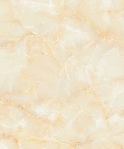 Gạch lát nền 60×60 TTC Ceramic CN66005