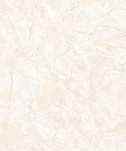 Gạch lát nền 60×60 TTC Ceramic CN66006