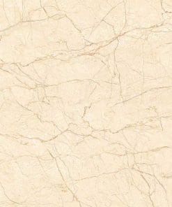 Gạch lát nền 60×60 TTC Ceramic CN66009