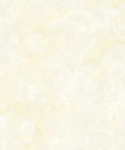 Gạch lát nền 60×60 TTC Ceramic CN66015