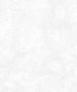 Gạch lát nền 60×60 TTC Ceramic CN66017