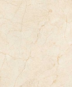 Gạch lát nền 60×60 TTC Ceramic CN66019