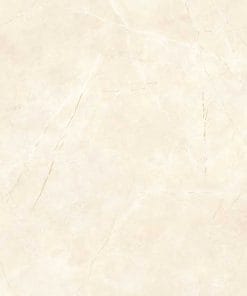 Gạch lát nền 60×60 TTC Ceramic CN66024