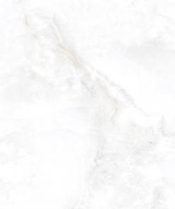 Gạch lát nền 60×60 TTC Ceramic CN66025