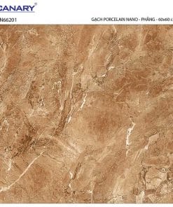 Gạch lát nền 60×60 TTC Ceramic CN66201