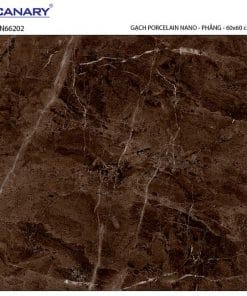 Gạch lát nền 60×60 TTC Ceramic CN66202