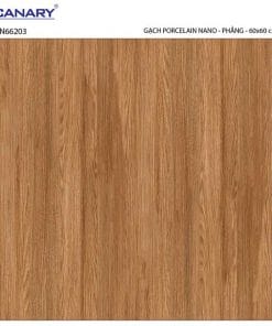 Gạch lát nền 60×60 TTC Ceramic CN66203