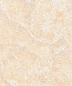 Gạch lát nền 60×60 TTC Ceramic CN66205