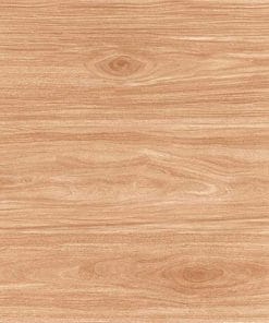 Gạch lát nền 60×60 TTC Ceramic CN66206