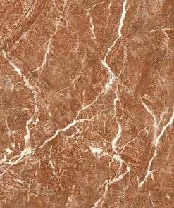 Gạch lát nền 60×60 TTC Ceramic CN66209