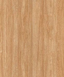 Gạch lát nền 60×60 TTC Ceramic CPM66201