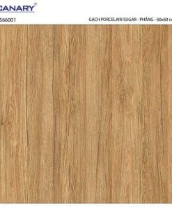 Gạch lát nền 60×60 TTC Ceramic CS66001
