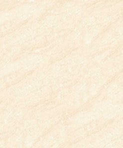 Gạch lát nền 60×60 TTC Ceramic CS66003