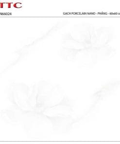 Gạch lát nền 60×60 TTC Ceramic PN66024