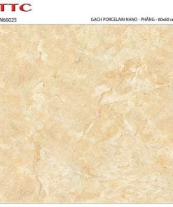 Gạch lát nền 60×60 TTC Ceramic PN66025