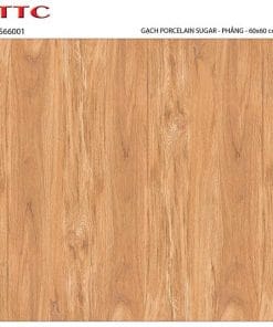 Gạch lát nền 60×60 TTC Ceramic PS66001