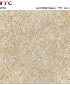Gạch lát nền 60×60 TTC Ceramic PS66002