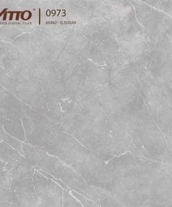 Gạch lát nền 60×60 Vitto 0973