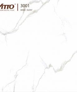 Gạch lát nền 60×60 Vitto 3001