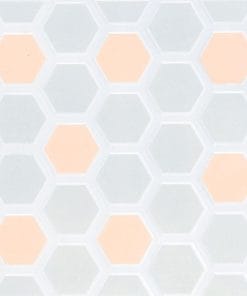 Gạch lát nền Viglacera 30×30 N318