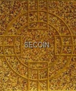 Gạch lát vỉa hè Secoin 30×30 OD-30-140
