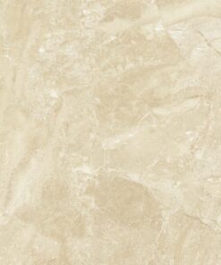 Gạch nhập khẩu Ấn Độ 120x120cm ROMAN CREMA