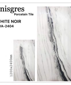 Gạch nhập khẩu Ấn Độ 120x240cm vân đá trắng đen VA2404