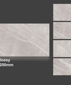 Gạch nhập khẩu Ấn Độ 60x120cm 6465