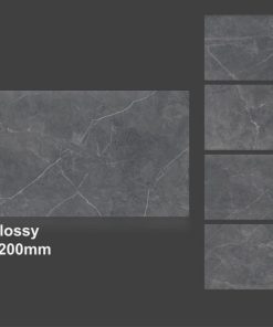 Gạch nhập khẩu Ấn Độ 60x120cm 6491