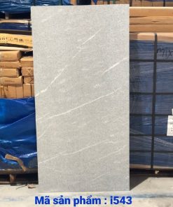 Gạch nhập khẩu Ấn Độ 60x120cm ghi phẩy trắng I543