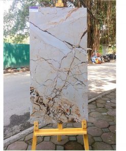 Gạch nhập khẩu Ấn Độ 60x120cm vân đá vàng HM660