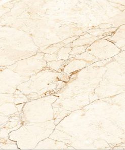 Gạch nhập khẩu Ấn Độ 80x80cm Glossy CYBERIAN BEIGE