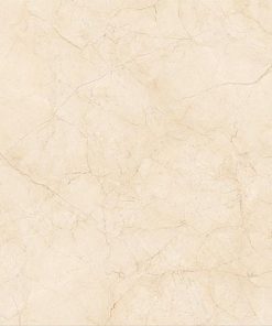 Gạch nhập khẩu Ấn Độ 80x80cm Glossy LIZA YELLOW