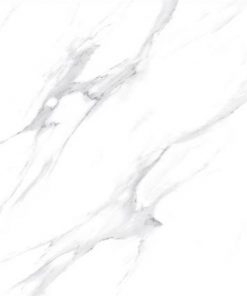 Gạch nhập khẩu Ấn Độ 80x80cm Glossy Satvario Gray