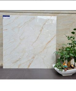 Gạch nhập khẩu Ấn Độ 80x80cm vân đá vàng vàng Pulse Glossy