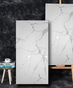 Gạch nhập khẩu Trung Quốc 60x120cm HM61208