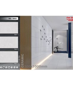 Gạch ốp lát 50×100 cm Tasas màu ghi 5262