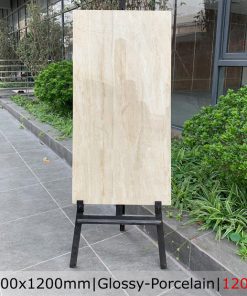 Gạch Ốp Lát 60×120 Catalan 1203