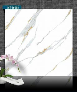 Gạch ốp lát 60×60 vân khói khắc vàng MT66003