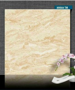 Gạch ốp lát 60x60cm vân đá vàng MT66006