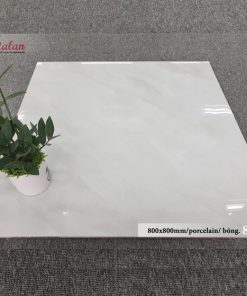 Gạch Ốp Lát 80×80 Catalan 8064