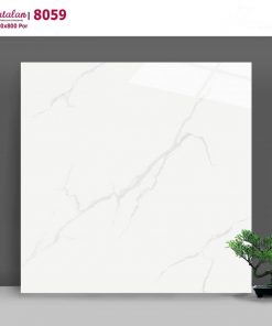Gạch ốp lát  Catalan  vân khói 8059