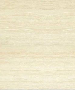 Gạch ốp lát Taicera TKG 60×60 P67206N