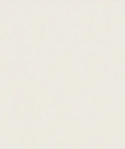 Gạch ốp lát Taicera TKG 60×60 P67435N