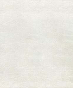 Gạch ốp lát Taicera TKG 80×80 P87225N