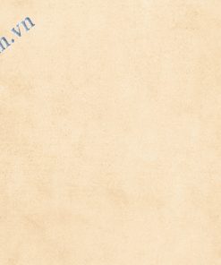 Gạch ốp lát Ý Mỹ 30x60cm màu vàng N365002H