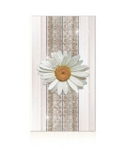 Gạch ốp trang trí 30×60 Hoàn Mỹ Perfetto 04.01.1904